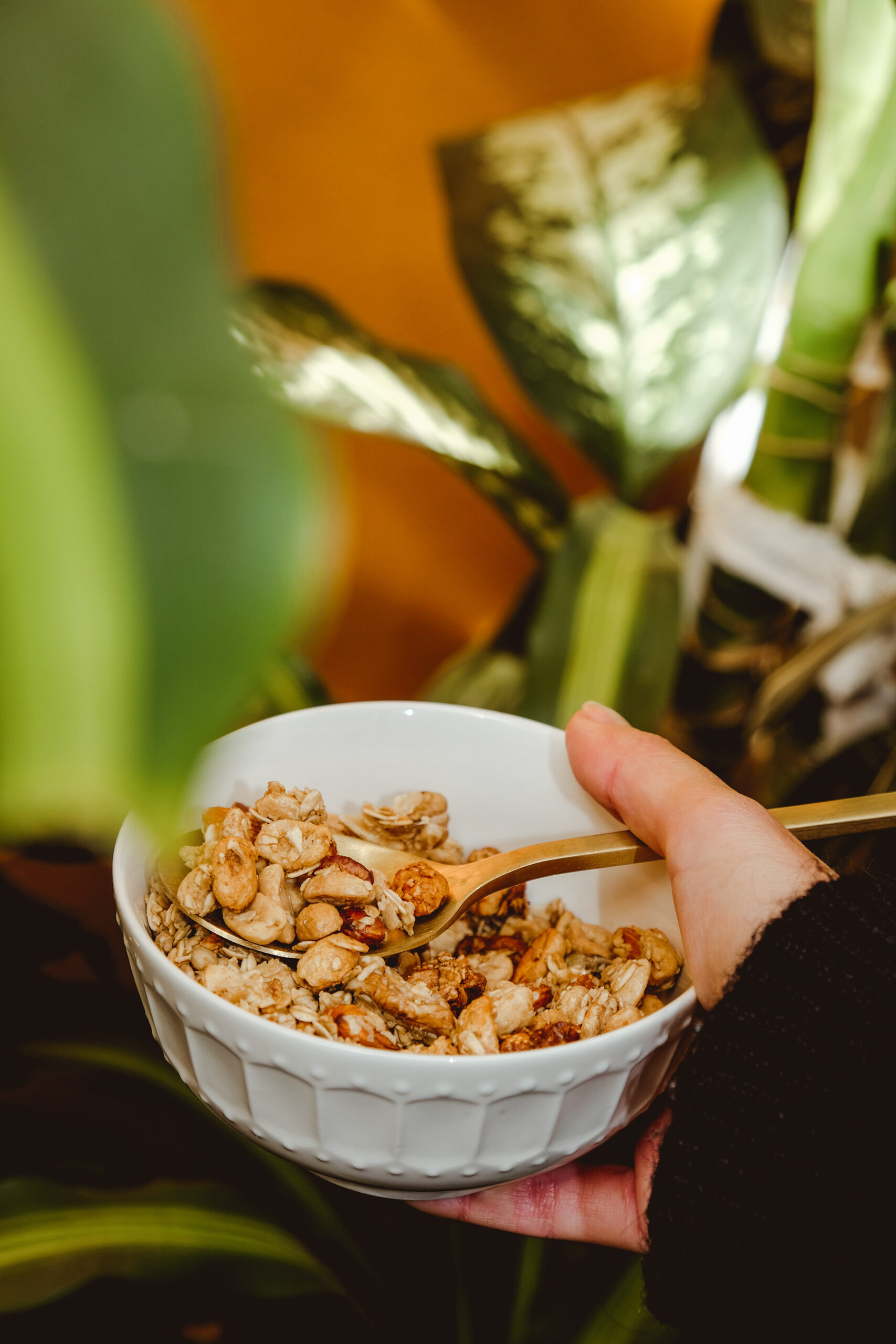 Granola Tradicional Sin Pasas - Image 2